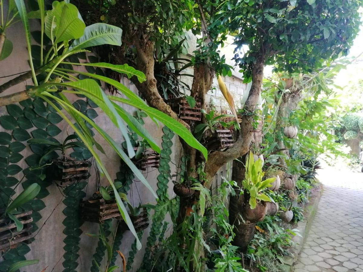 Coliving Bali Sweet Home Kost Lengkap Di Tabanan Kota 外观 照片