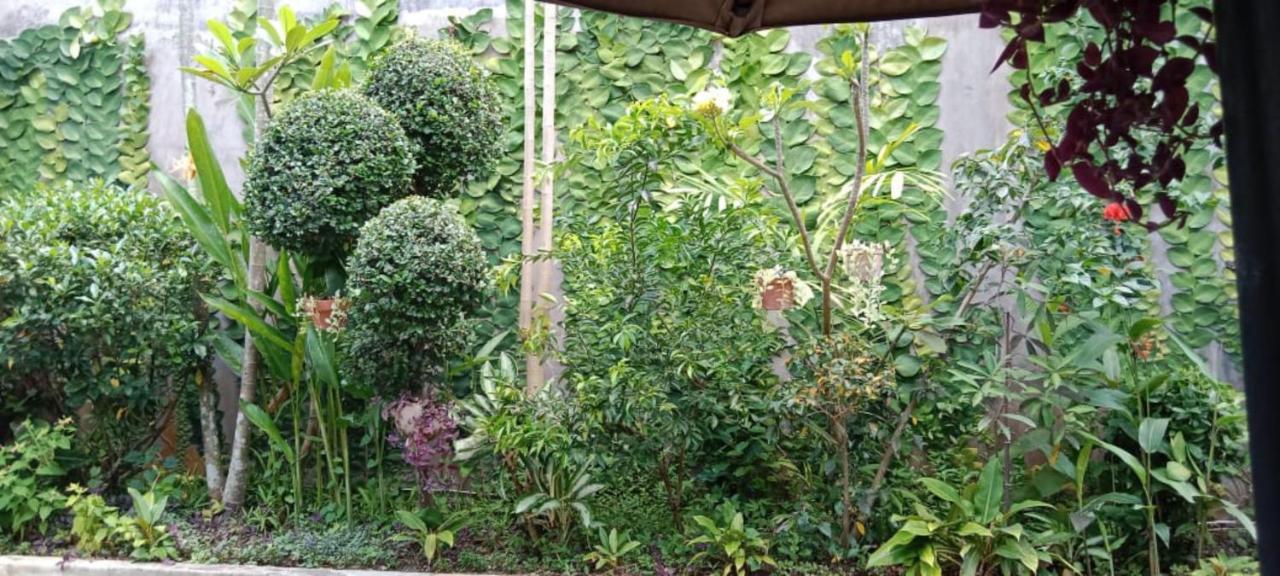 Coliving Bali Sweet Home Kost Lengkap Di Tabanan Kota 外观 照片