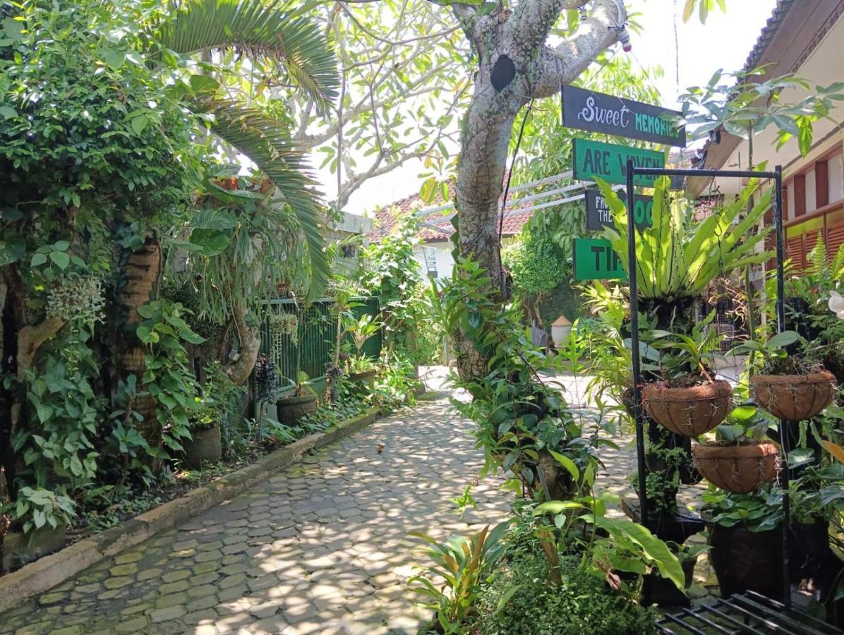 Coliving Bali Sweet Home Kost Lengkap Di Tabanan Kota 外观 照片