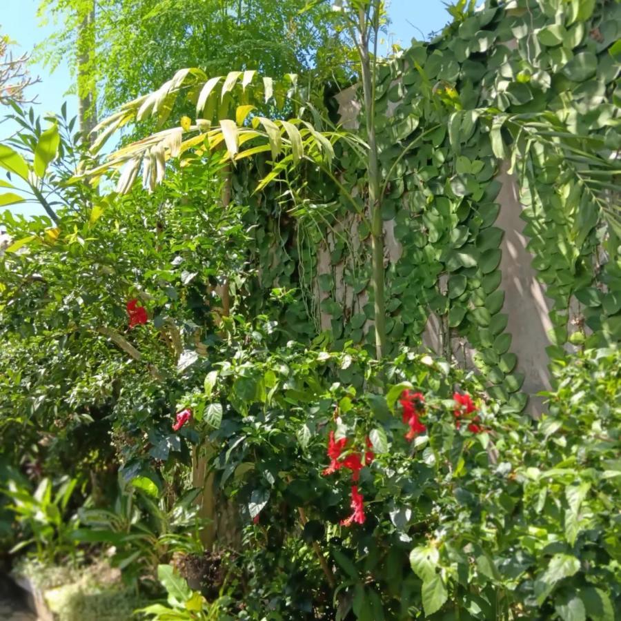 Coliving Bali Sweet Home Kost Lengkap Di Tabanan Kota 外观 照片