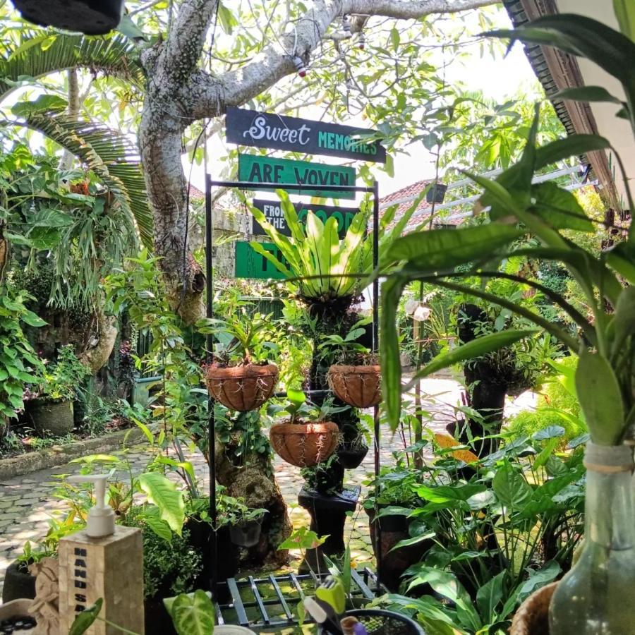 Coliving Bali Sweet Home Kost Lengkap Di Tabanan Kota 外观 照片