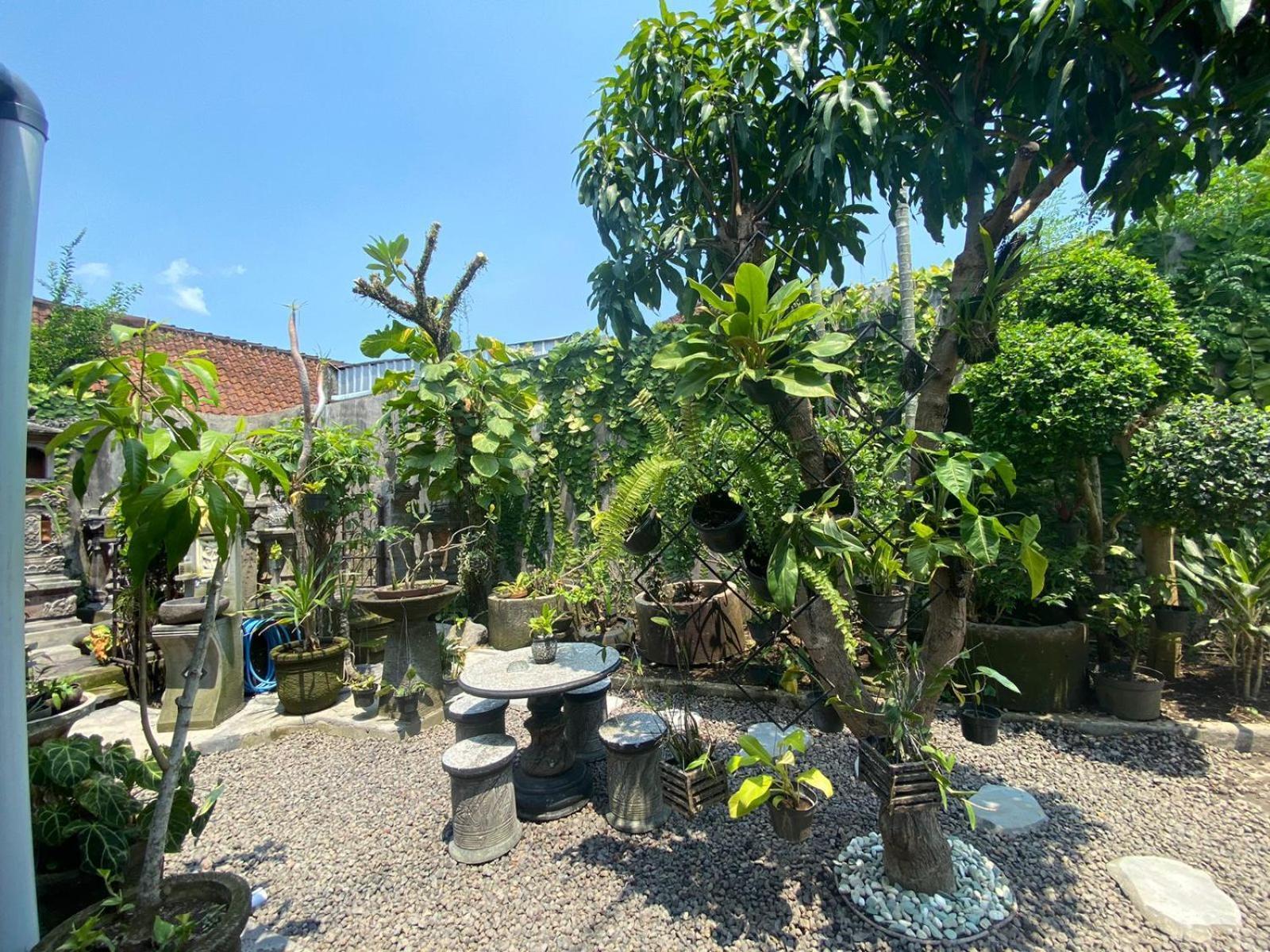 Coliving Bali Sweet Home Kost Lengkap Di Tabanan Kota 外观 照片