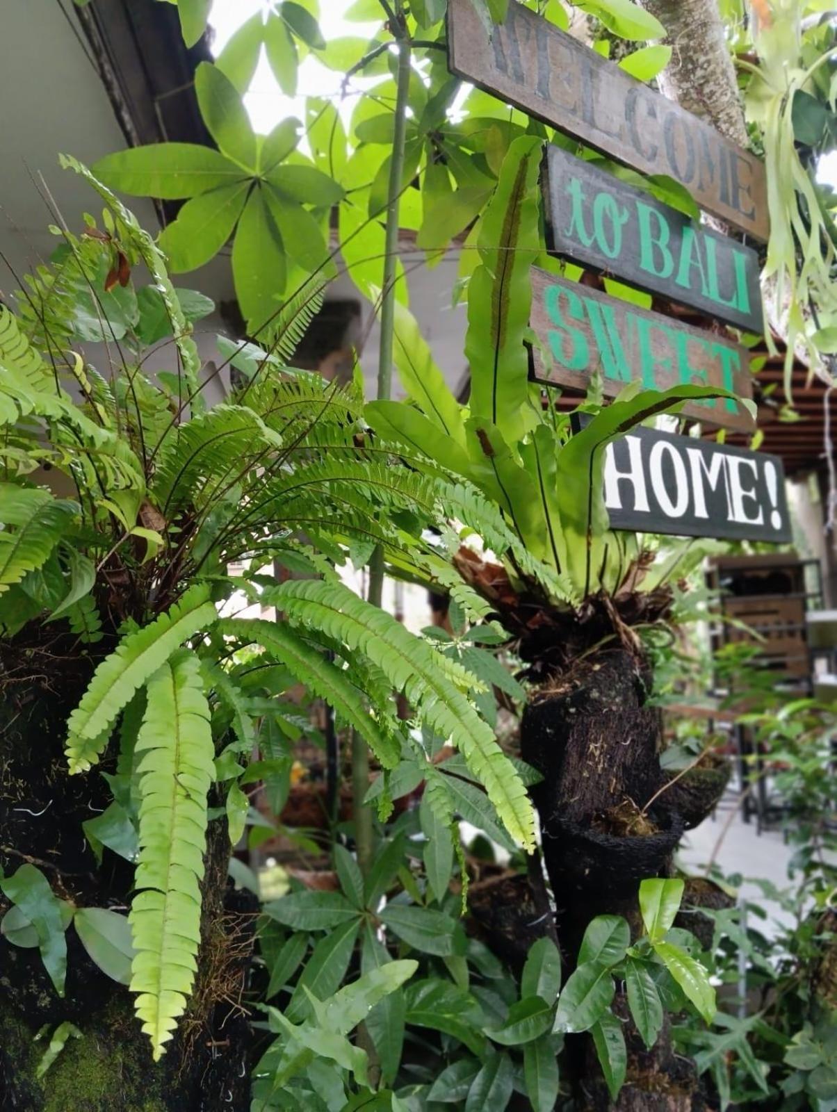 Coliving Bali Sweet Home Kost Lengkap Di Tabanan Kota 外观 照片